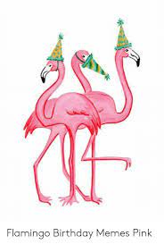 25 Best Memes About Flamingo Birthday Flamingo Birthday Memes