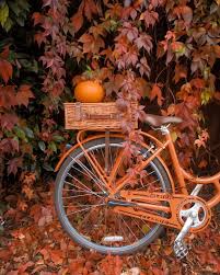 Autumn Paints In Colors That Summer Has Never Seen Autumn Colors Paints Summer Bilder House Lusti Herbst Bilder Herbst Fotografie Herbst Malerei