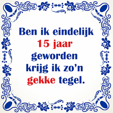 Gekke Spreukentegel 15 Jaar Verjaardag Goedkoop
