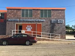 Clínica Veterinaria Atenas