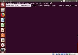 This is a simple guide on how to install sodium mod on a linux computer. How To Play Minecraft In Ubuntu 13 Steps With Pictures
