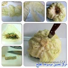 طريقة عمل الملفوف بالصور