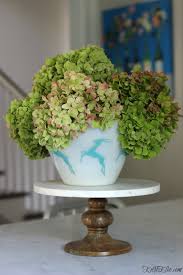 Hydrangea petiolaris (climbing hydrangea) climbing hydrangea requires little to no pruning, but if you need to trim it to keep it in bounds, you should prune it just after flowering. Fall Tips For Cutting And Drying Hydrangeas And A Giveaway Kelly Elko