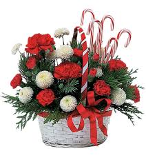 Image result for fleur de noel