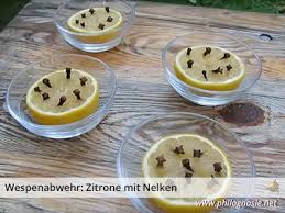 Wespenplage Wespen Vertreiben Was Hilft Gegen Wespen Philognosie Wespen Vertreiben Was Hilft Gegen Wespen Wespe