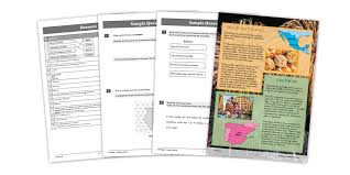 free primary sats resources cgp books