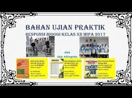 We did not find results for: Bahan Ujian Responsi Akhir Praktikum Biologi Sma Citra Kasih Jakarta Youtube