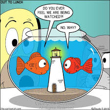 Fishbowl Paranoia Do You Ever Feel We Are Being Watched No Why As A Dog And Cat Look On March 7 2018 Cafe Press Keywords Di Out To Lunch Paranoia Dog Cat