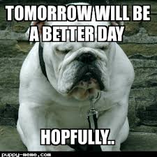 25 Mood Improving Memes For When You Re Having A Bad Day At Work Fairygodboss