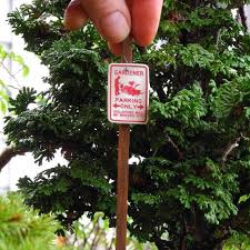 Miniature Gardener Parking Only Dollhouse Miniature Fairy Etsy Funny Garden Signs Fairy Garden Sign Fairy Garden