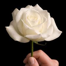 It only needs to offer comfort in a way that does not try to minimize the pain that the bereaved is going through. Amazon Com Sympathy And Condolences Messages Appstore For Android