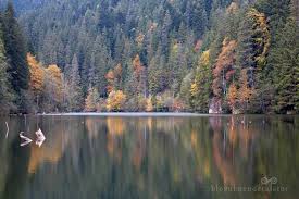 In 2002, harghita county had a population of 326,222 and a population density of 52/km2. 9 Locuri In NaturÄƒ De Vizitat In Harghita Blogul Meu De CÄƒlÄƒtor