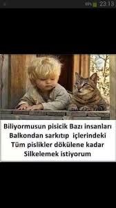 Evet Aynen Komik Hikayeler Komik Hayvanlar Mizah