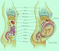 Pin On Maternity