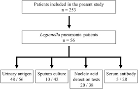 Legionnaires' disease, which is a severe form of pneumonia due to infection with legionella. Evaluation Of A Novel Urinary Antigen Test Kit For Diagnosing Legionella Pneumonia International Journal Of Infectious Diseases
