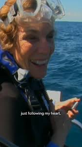 Summer in Antarctica appears to have gone swimmingly for these penguins!  🐧💦 This footage from the National Geographic Society's Special  Collections was taken in December 1965, the Antarctic midsummer, during the  American