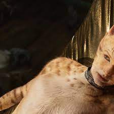 Uma tribo de gatos chamados os jellicles deve decidir anualmente qual deles vai ascender para a capa heaviside para assim poder cats 2019 assistir filme online legendado cats 2019 assistir. Cats Is Being Patched With Improved Visual Effects The Verge