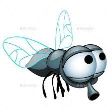 cartoon fly with big eyes isolated fly drawing drawings vector drawing