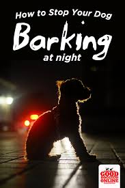 How To Get Your Dog To Stop Barking At Night Time Good Doggies Online Dog Barking At Night Dog Training Stop Dog Barking