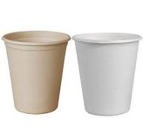 Bagasse Cup Factory