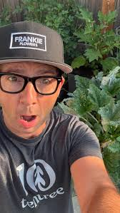 Zucchini, cucumber or squash looking white or grey?, That’s powdery mildew 