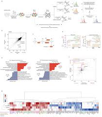 We did not find results for: Genome Wide Crispri A Screens In Human Neurons Link Lysosomal Failure To Ferroptosis Biorxiv