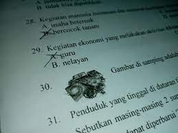 Gambar Di Samping Adalah Contoh Sumber Daya Alam Diperbaharui Brainly Co Id