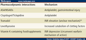 Warfarin Drug Interactions Among Older Adults