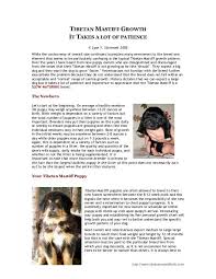 Tibetan Mastiff Growth Tibetan Mastiff Info