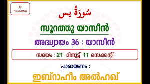 The doctor recited the list of possible side effects of the drug. Surah 036 Yaseen Meaning Translation In Malayalam Recited By Ibrahim Al Haq Youtube