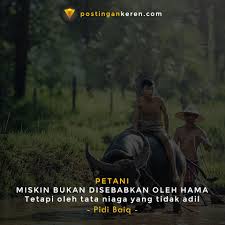 Kata Bijak Tentang Petani Petani Bijak Jalani Hidup