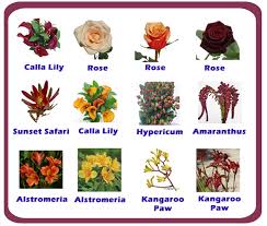 Lilies of different kinds are. Name Of Flowers Kvdibrugarh