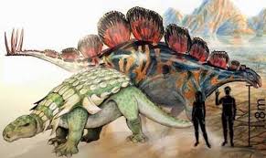 Image result for Dinophora