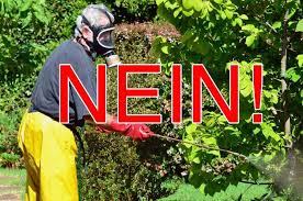 Zecken Bekampfen Was Ist Die Beste Weise