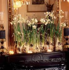 You Will Receive 5 Bulbs For Indoor Forcing Multiple Stems Blooms Emerge From Each Bulb Narcissus Z Christmas Flowers Narcissus Bulbs Diy Christmas Fireplace