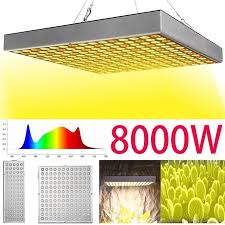By learning how plants use grow lights and about the different types of light fixtures, you can select an indoor lighting system right for the plants you want to plants grown indoors under lights will dry out quicker than others. Indoor Growing Lamp Led Grow Light Full Spectrum Plant Lighting For Plants Flowers Cultivation 8000w Buy From 21 On Joom E Commerce Platform