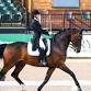 Dressage Clinic with Michelle LaBarre - December event in Brewerton, NY