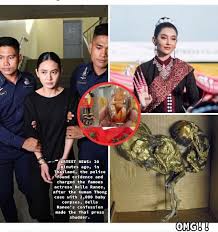 Kasus Bela Rane Thailan | TikTok