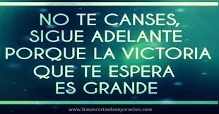 Pero para discursos motivacionales ya tenemos a al pacino. Frases Motivadoras Para Estudiantes De Secundaria Frases Motivadoras Para Estudiantes Frases Motivadoras Frases Para Estudiantes