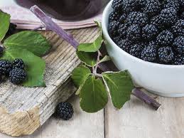 Www Marmiton Org Recettes Diapo 93322 Recette Confiture Recettes De Cuisine Recette