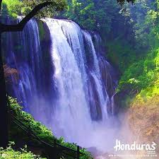 Maybe you would like to learn more about one of these? Pin On Honduras Five Stars