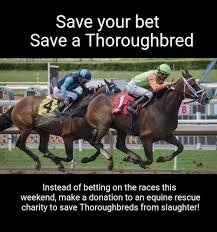 Those Bets You Were Planning To Make And Most Likely Lose On The Kentucky Oaks Kentucky Derby Etc This Weekend Could S Horse Rescue Animal Rescue Animals