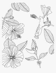 Download Transparent Tumblr Png Coloring Pages Coloring Page Procreate Free Png Download Kindpng