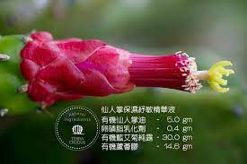 仙人掌保濕紓敏精華液 ingredients plants flowers
