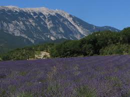 The top of the mountain is bare limestone without vegetation or trees, and the landscape is very unique in this part of europe. Following The Tracks Of The Tour De France By Bike On Mont Ventoux Road