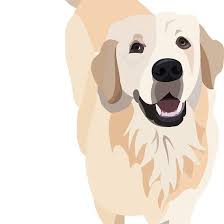  Golden Retriever Doggo Dog Art Golden Retriever Illustration Illustration Art