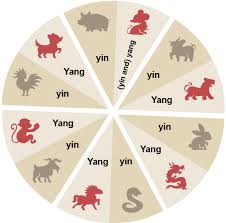 As a scorpio born on october 23, you are at the cusp of libra and scorpio personalities. Chinese Zodiac 12 Zodiac Animals Find Your Zodiac Sign