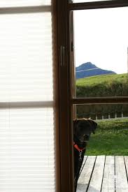 Sensuna Qualitatsplissee Fur Die Terrassentur Mit Blick In Den Garten Plissee Terrassentur Blendschutz