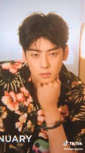 Astro's Cha Eunwoo Exposed: Forbidden True Beauty Porn Here