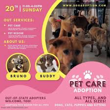 Pink Pet Adoption Center Video Ad Pet Adoption Center Pet Adoption Adoption